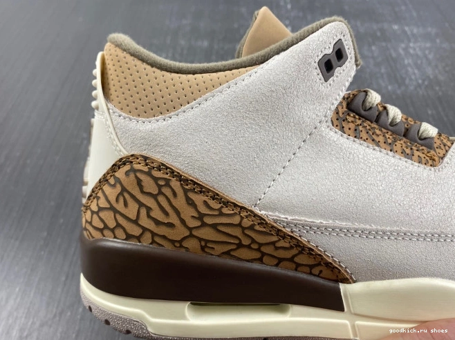 Palomino CT8532-102 3 Jordan Air 0812
